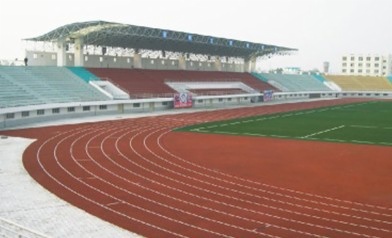 Track & Field view 2