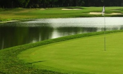 Thảm Cỏ Sân Tập Golf Chuyên Nghiệp Topflor Golf & Putting Greens