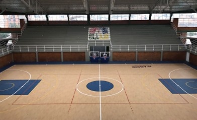 Sàn Thể Thao Cao Cấp Topflor Elite Sports