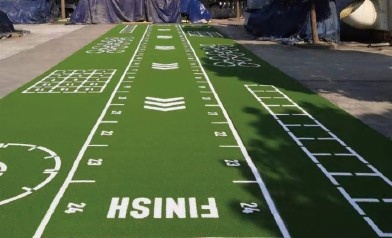 Thảm Cỏ Nhân Tạo Phòng Gym Topflor Gym Turf